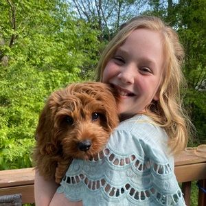 Meet your Posher, Rylan